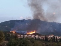Aydın'da 3 Ayrı Yerde Orman Yangını