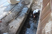 KÜÇÜKKÖY - Ayvalık Kış Mevsimine Hazırlanıyor