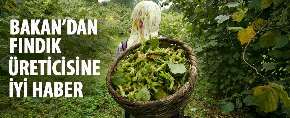 Bakan'dan fındık üreticisine iyi haber