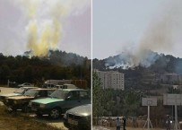 Bozüyük'te Orman Yangını