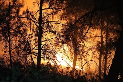 Karabük'teki Orman Yangınına Müdahale Sürüyor