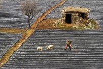 HUNG - Konyalı Fotoğrafçıya, Uluslararası Fotoğraf Yarışmasında Birincilik Ödülü