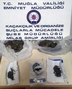 Milas'taki Uyuşturucu Operasyonunda 1 Tutuklama