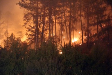 Orman Yangınlarına Karşı Yasaklar Açıklandı