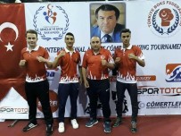 BOKSÖR - Vanlı Boksör Türkiye Şampiyonu Oldu