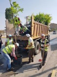 ŞEREFIYE - Yeni Yollar Ağaçlarla Donatıldı