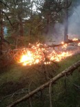 YILDIRIM DÜŞMESİ - Yıldırım Düşmesi Sonucu Ormanlık Alanlarda Yangınlar Çıktı