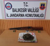 EDINCIK - Bandırma'da Esrar Operasyonu