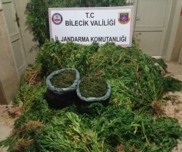 Bilecik'te Kenevir Ve Esrar Maddeleri Ele Geçirildi