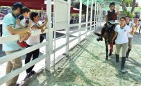 ENGELLİ ÖĞRENCİLER - Buca'da Engelli Çocuklara Atla Terapi