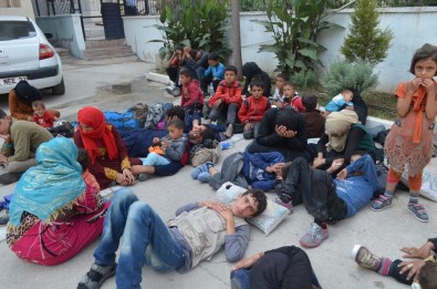 Hatay'da 51 Kaçak Mülteci Yakalandı