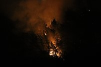 Karabük'te Orman Yangını Kısmen Kontrol Altına Alındı