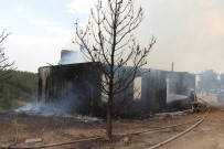 ORMANA - Yangının Ormana Sıçraması Önlendi.