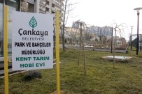 Kent Tarım Hobi Evinde Yeni Dönem 4 Ekim'de Başlıyor