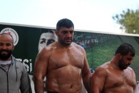 BAŞPEHLİVAN - Hüseyin Pehlivan Yağlı Güreş Turnuvası'nın Şampiyonu Ali Altun