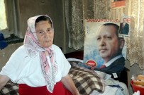 VIRANE - Yaşlı Kadının Cumhurbaşkanı Sevgisi