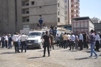 MAHMUT KAŞıKÇı - Yüksekova'da Genç Çiftçilere Düve Dağıtımı Yapıldı