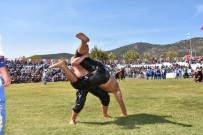 DAVUL ZURNA - 13. Edremit Yağlı Pehlivan Güreşleri Yapıldı