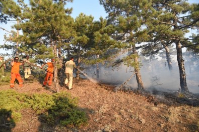 Eskişehir'de Orman Yangını