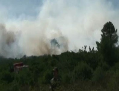 İstanbul Sancaktepe'de askeri bölgedeki ormanlık alanda yangın!