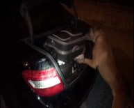 Lüks Otomobilde 10 Kilo Esrar Ele Geçirildi