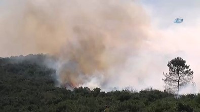 Sancaktepe'de Askeri Alanda Yangın