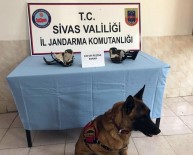 Terlikten Esrar Çıktı