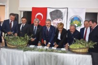 AMBALAJLI ÜRÜN - Zeytin Ve Zeytinyağ Sezonu Açıldı