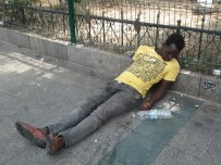 TARLABAŞı - Bonzai Tuzağına Düşen Yabancıların Hali Yürek Burktu