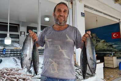 Karadeniz'de Balık Yok