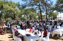 OKUL ÖNCESİ EĞİTİM - Öğrenciler Ve Veliler Piknikte Buluştu