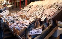 BALIK TEZGAHLARI - Yasak Kalktı, En Pahalı Balığın Kilosu Bile 15 Liraya Düştü