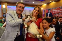 ABDURRAHIM KARAKOÇ - 2. Uluslararası Pursaklar Kedi Güzellik Festivali Başlıyor