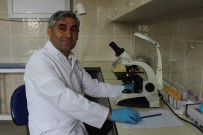 ÇÖREK OTU - AKÜ'lü Bilim Adamları Kanseri Önleyip Yaşamı Uzatan İlaç Keşfetti