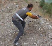 ÇORUH - Artvin'de Tedavi Altına Alınan Saz Horozu Doğal Yaşama Bırakıldı