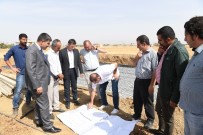 KONUT PROJESİ - Başkan Asya, Yeni TOKİ Alanında İncelemelerde Bulundu