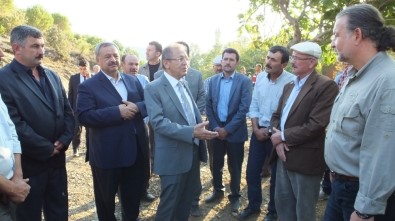Edremit Körfezinin İlk Organik Zeytinyağı Fabrikası Burhaniye'de Kuruluyor