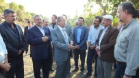 ERSIN YAZıCı - Edremit Körfezinin İlk Organik Zeytinyağı Fabrikası Burhaniye'de Kuruluyor