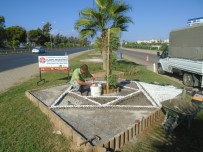 KONSEPT - Türkler'e Modern Peyzaj