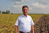 MEHMET AKıN - Çiftçi, Tarım Bakanlığı'ndan Borç Erteleme Bekliyor