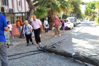 Çürüyen Telefon Direği Yaşlı Kadının Üstüne Devrildi