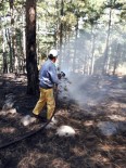 YILDIRIM DÜŞMESİ - Edremit Orman'ın Hızlı Müdahalesi Orman Yangınını Önledi