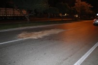 DADALOĞLU - Genç Kadın Yolun Karşısına Geçmek İsterken Canından Oldu