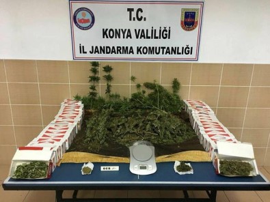 Konya'da Jandarmadan Uyuşturucu Operasyonu