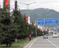 ORMAN GENEL MÜDÜRLÜĞÜ - Ordu'da Yollara 19 Bin Fidan