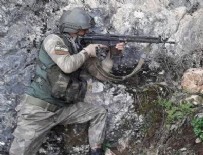 ERDEMIR - PKK'ya ağır darbe: Sözde Dersim sorumlusu öldürüldü