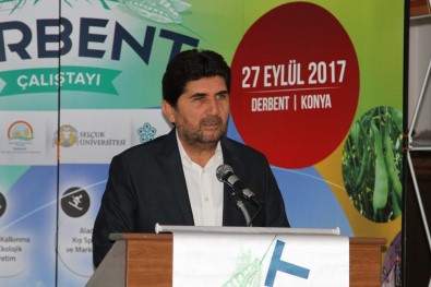 'Senede 13 Ay Derbent'i Yaşamak' Çalıştayı Düzenlendi