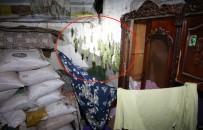 Askıda Çamaşır Değil Esrar Kurutmuşlar