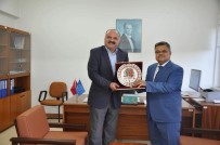 İLLER BANKASı - Başkan Yağcı'nın Eskişehir Temasları