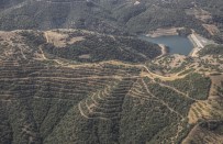 VEYSEL EROĞLU - İzmir'de Fidanlar Toprakla Buluşturuluyor